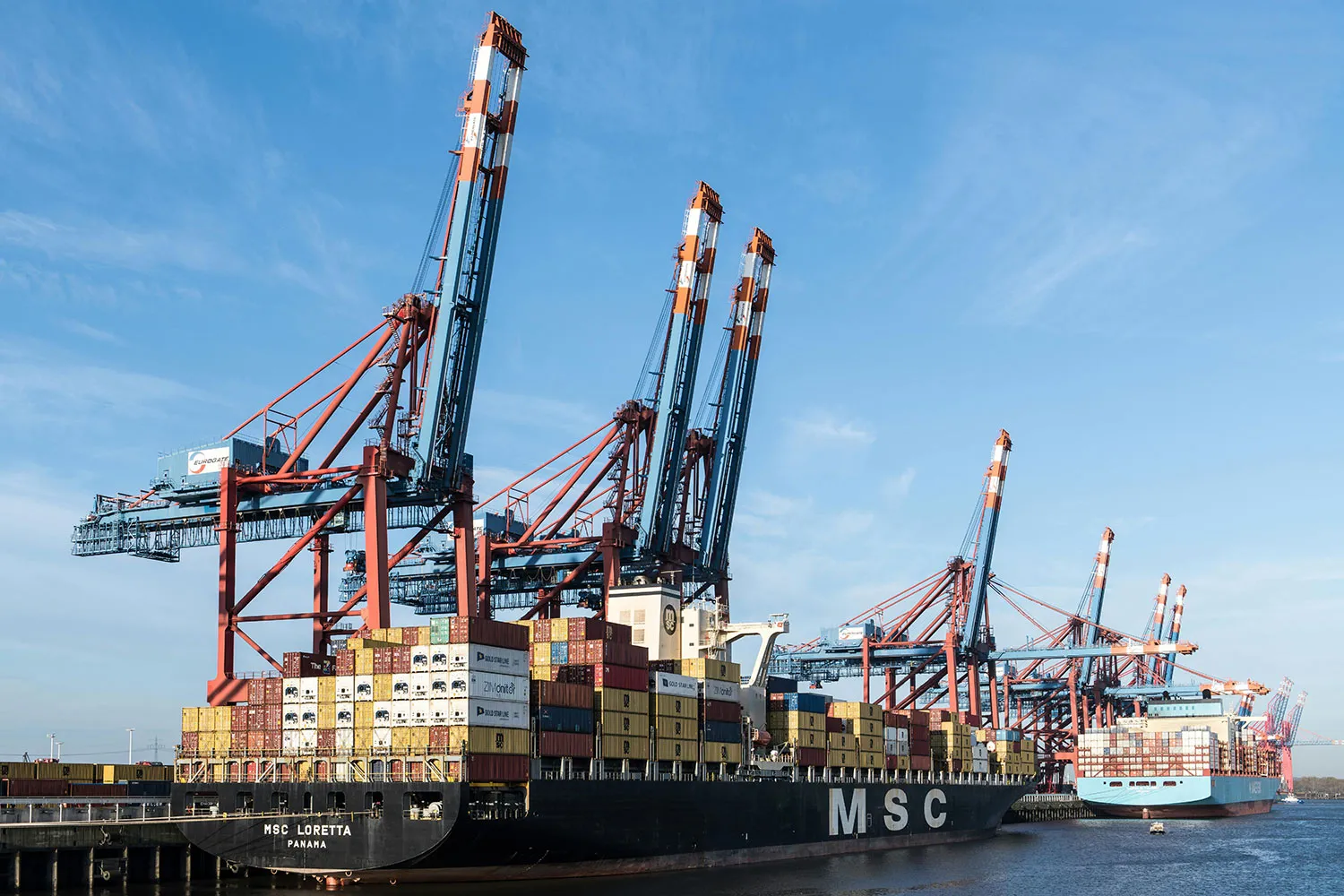 Disinfestazione negozi