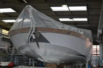 Trattamenti contro insetti xilofagi