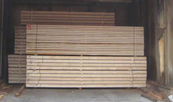 Trattamenti a norma Ispm15