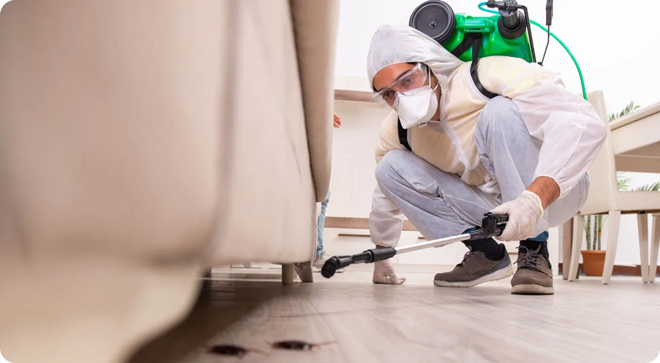 NUova Cianidrica, Genova: interventi di disinfestazione