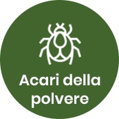 Acari della polvere