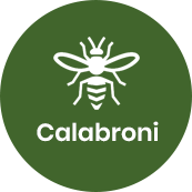 Disinfestazione calabroni