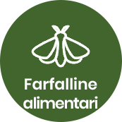 Disinfestazione farfalline alimentari