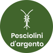 Disinfestazione pesciolini d'argento