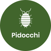 Disinfestazione pidocchi