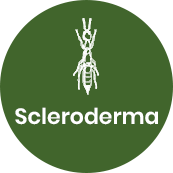 Disinfestazione scleroderma