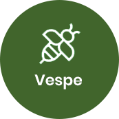 Disinfestazione vespe