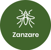 Disinfestazione zanzare