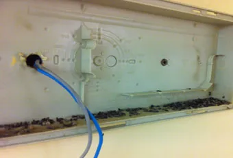 Individuazione passaggi di roditori (topi, ratti) e relative derattizzazioni